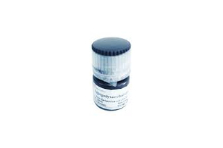 Липополисахариды, from Endotoxin Escherichia coli O55: B5, Servicebio, Китай