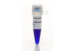 Краситель для нанесения на гель RNA Gel Loading Dye, 2Х, Thermo FS
