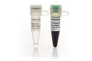 ДНК-полимераза DreamTaq Green, термостабильная, 5 ед/мкл, Thermo FS