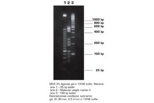 Агароза, низкий EEO, MS-6, Molecular Screening, повышенная четкость разделения фрагментов 150-750 п.н., diaGene
