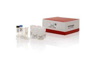Набор для выделения ДНК, PureLink Genomic DNA Mini Kit, Thermo FS