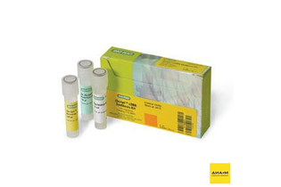 Набор iScript cDNA Synthesis Kit, Bio-Rad