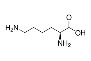 Лизин-L, аналитический стандарт, не менее 95% (HPLC), Merck (Millipore, Sigma-Aldrich, Supelco)