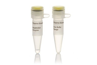 Эндонуклеаза рестрикции Cfr13I (Sau96I), 10 е.а./мкл, Fermentas, Thermo FS