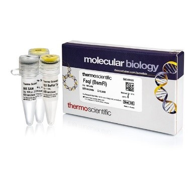 Эндонуклеаза рестрикции FaqI (BsmFI), 2 е.а./мкл, Fermentas, Thermo FS