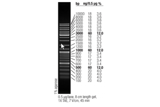Маркер длин ДНК GeneRuler Mix, 15 фрагментов от 100 до 10000 п.н., 0,5 мкг/мкл, Thermo FS