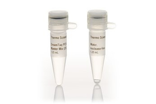 Мастер-микс для ПЦР с ДНК-полимеразой DreamTaq, Thermo FS