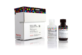 Субстрат для иммуноблоттинга West Atto Ultimate, Thermo FS